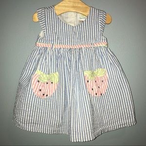EMMA’S GARDEN Seersucker Dress Size 9-12 months